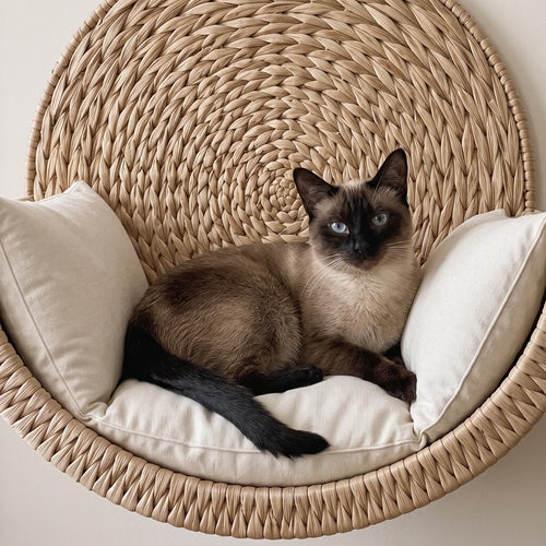 Genesis - Cat Wall-Mounted Bed